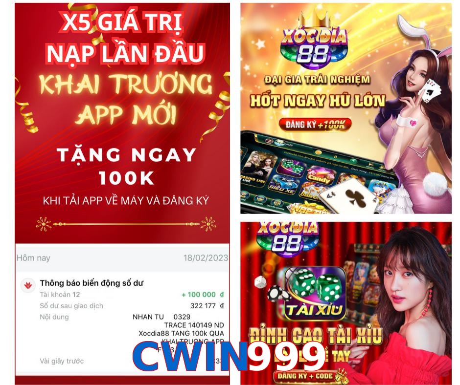 CWIN999